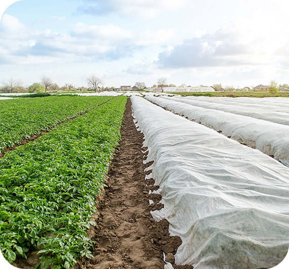 Agriculture Fabrics